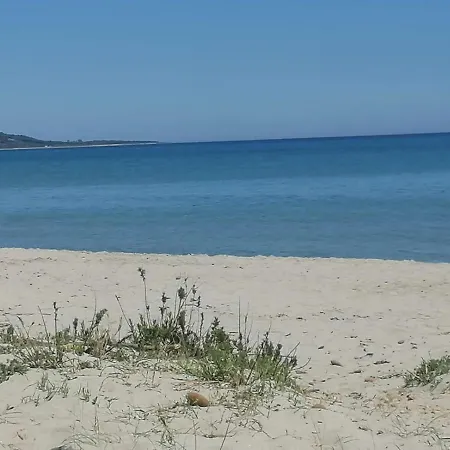 Sea Paradise *
