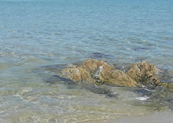 Sea Paradise San Giovanni